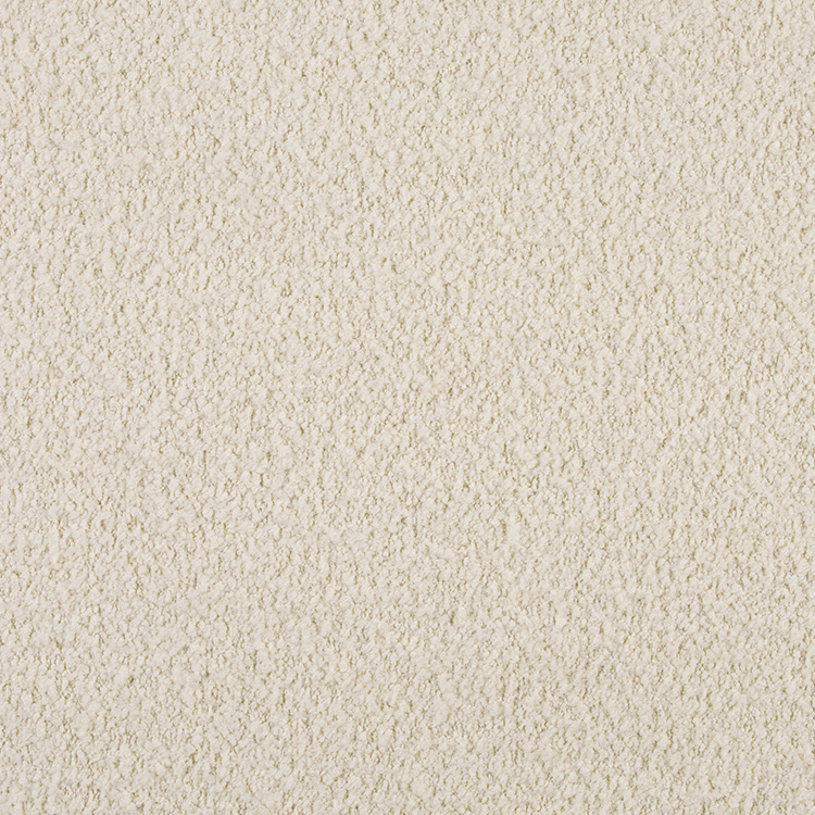 Dorper Ivory
