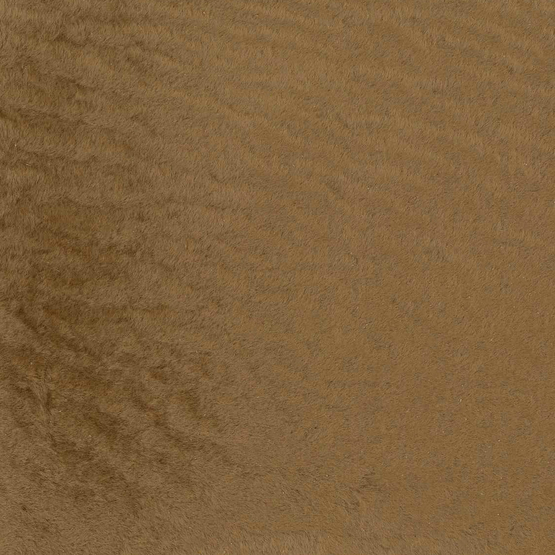 Capetown Caramel 