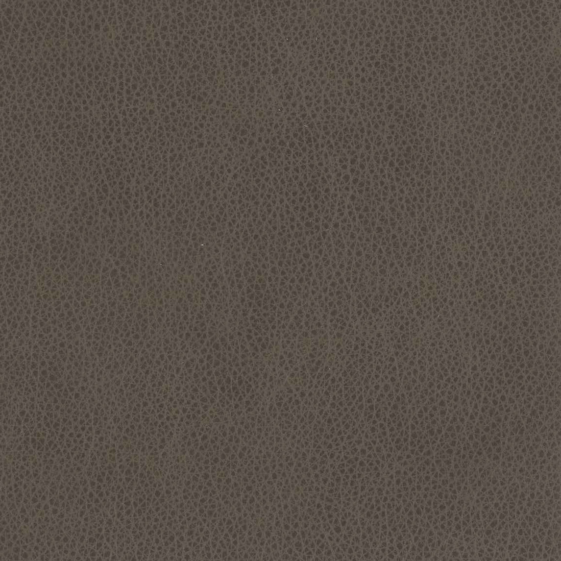Garland Carbon 
