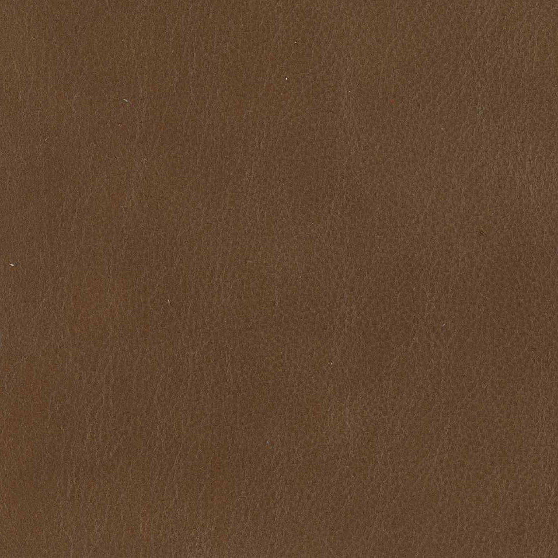 Kingswood Saddle 