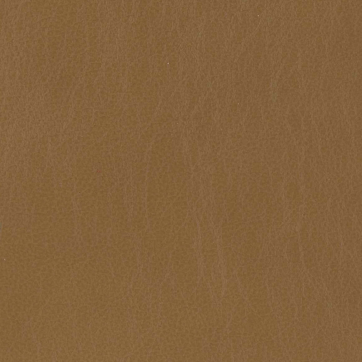 Kingswood Tan 
