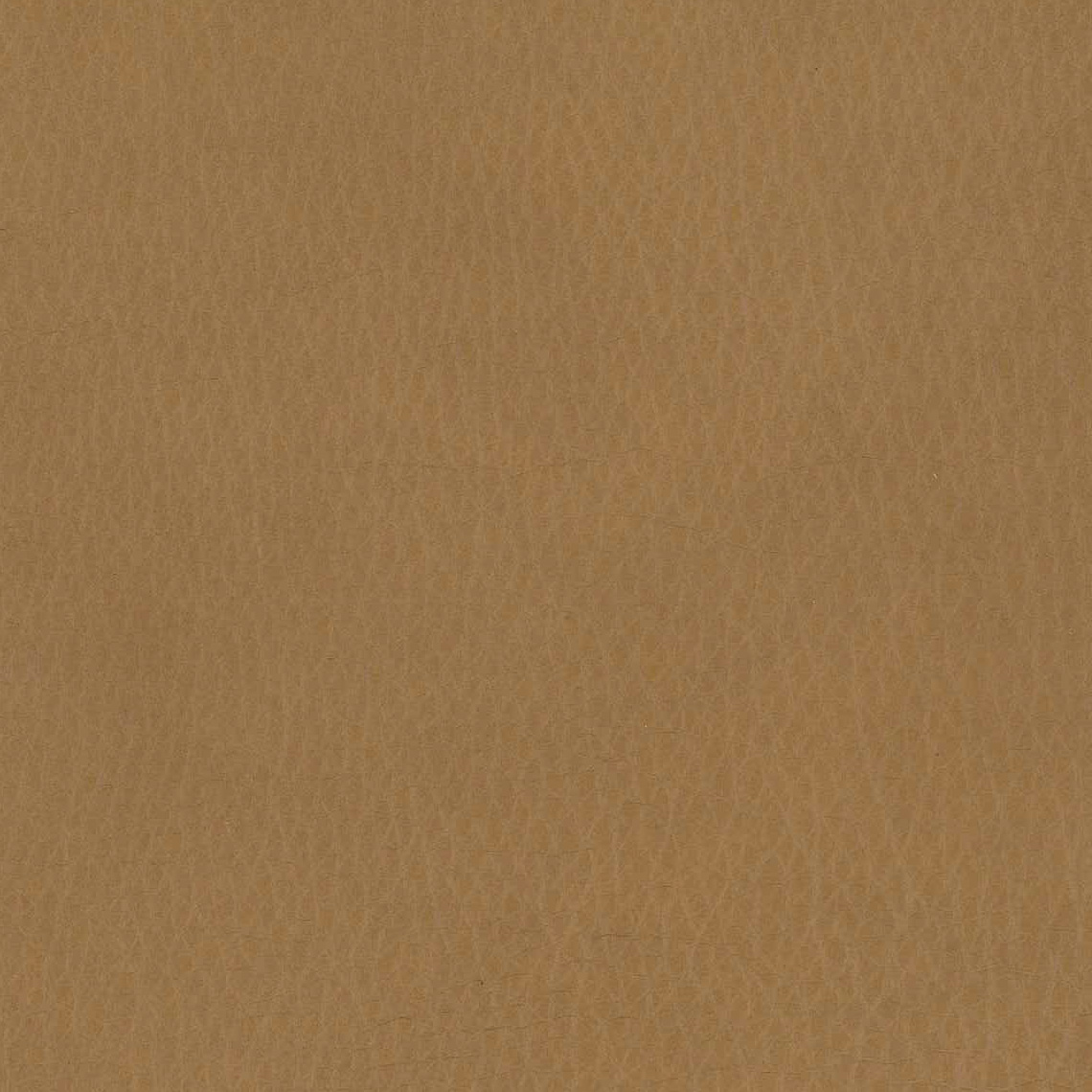 Snowpark Tan 