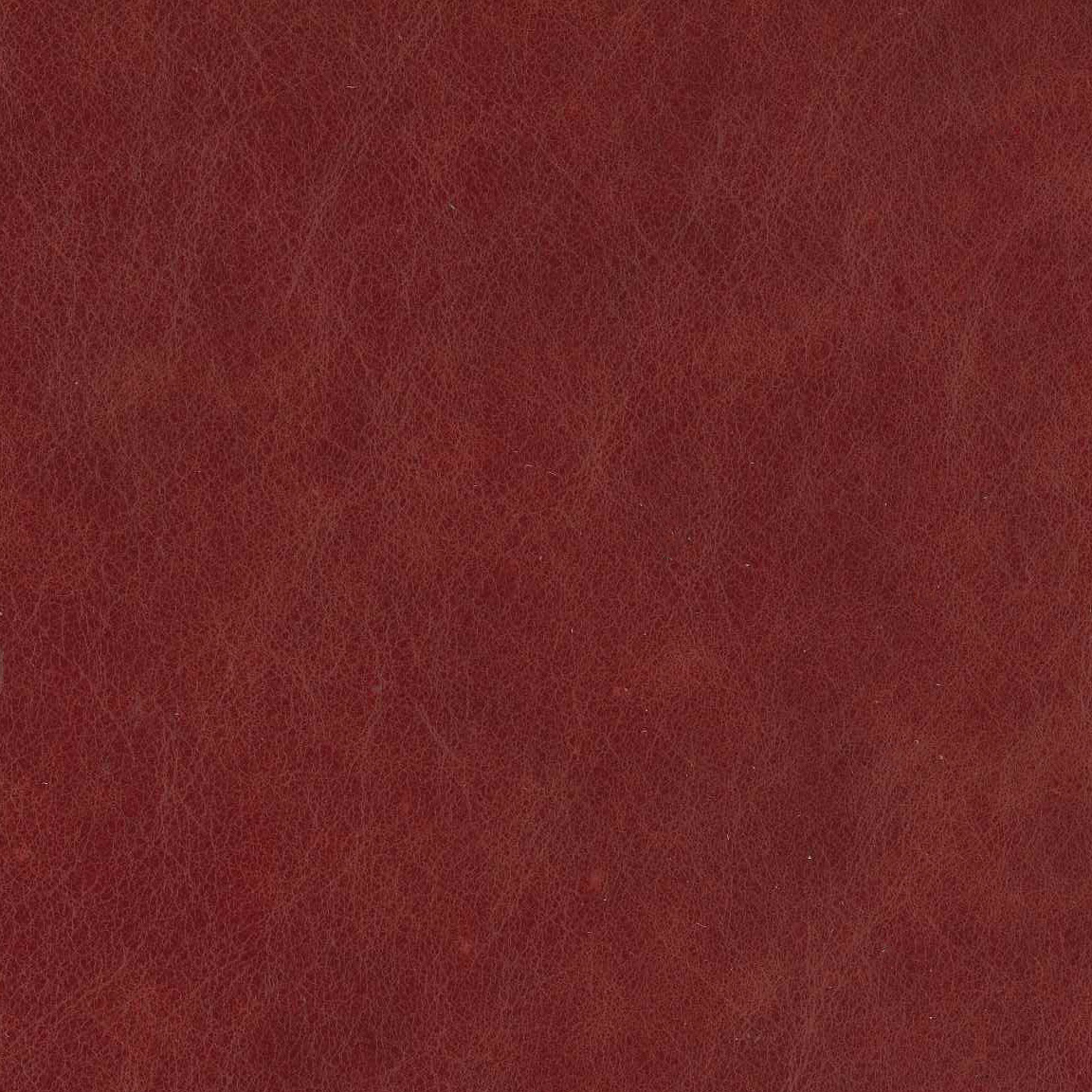 Tybee Crimson 