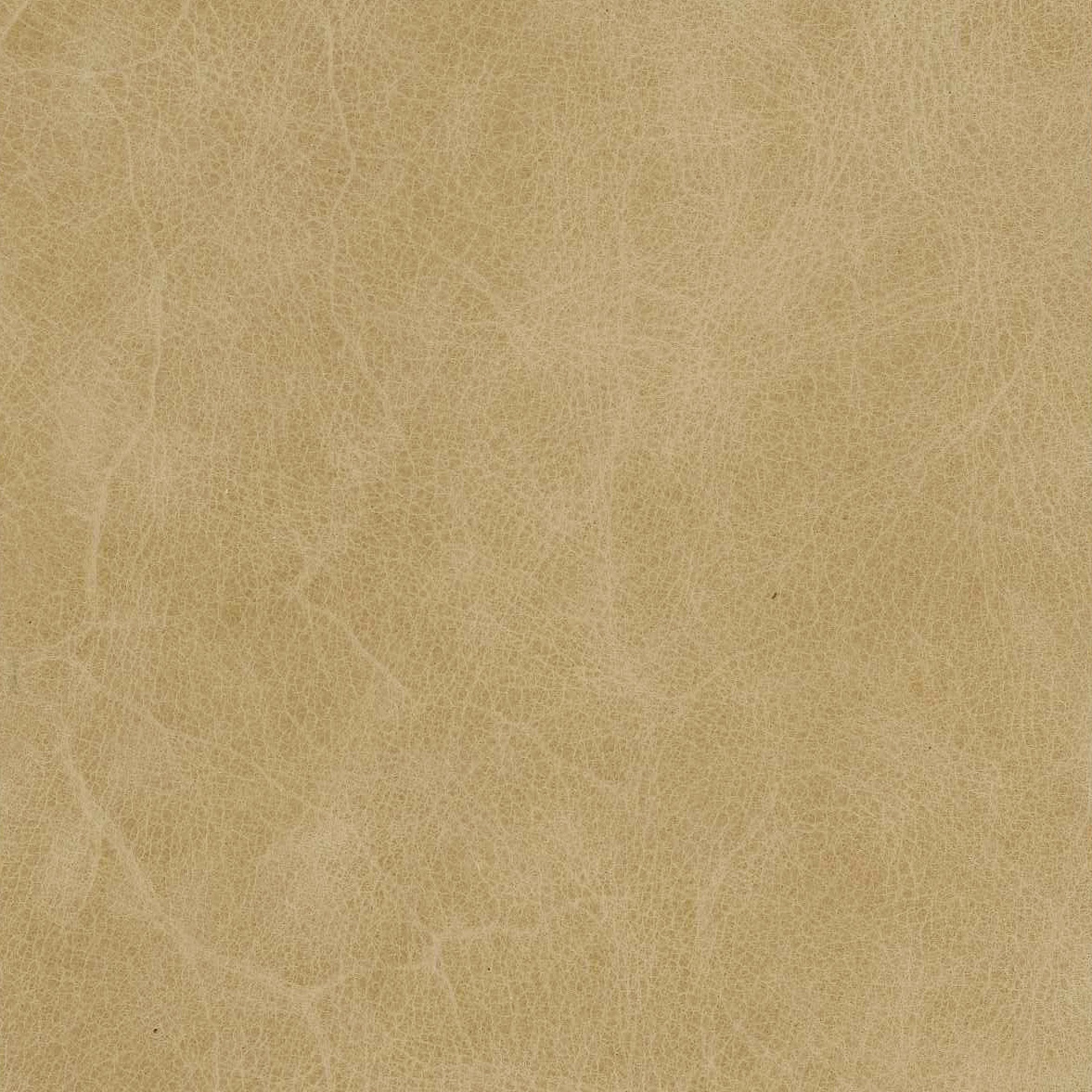 Tybee Taupe 