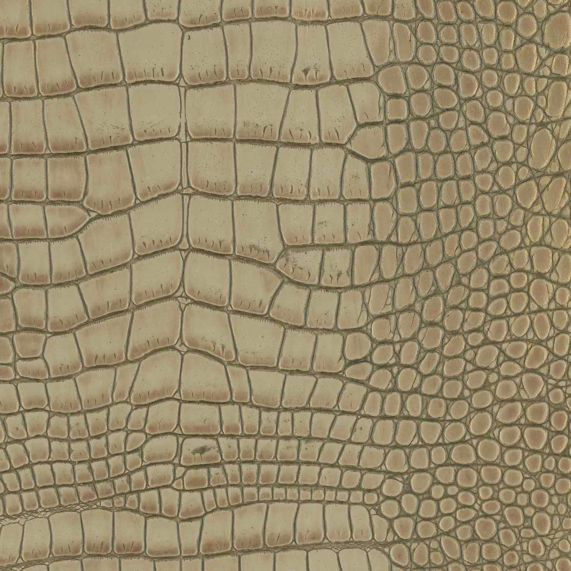 Wetlands Taupe 