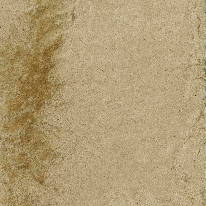 Capetown Parchment