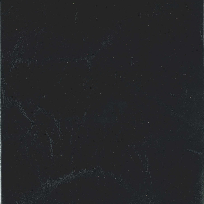 Castle Navy