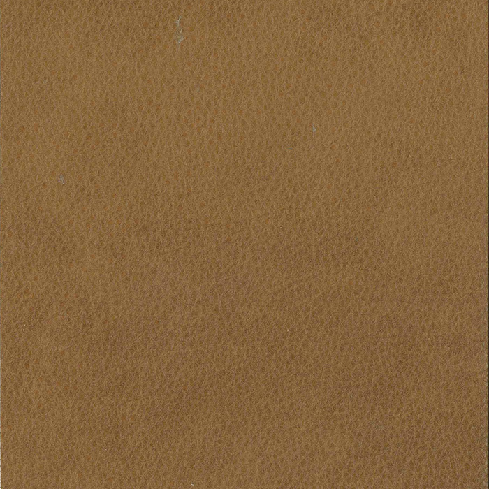 Lorenzo Brown Sugar