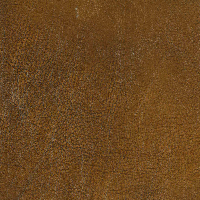 Orleans Chestnut
