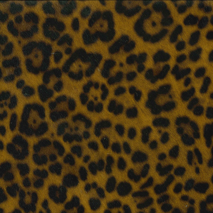 Leopard Chestnut
